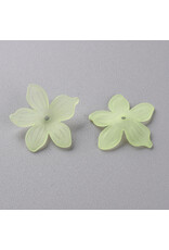 20mm Acrylic Flower x50