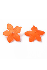20mm Acrylic Flower x50
