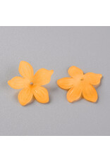 20mm Acrylic Flower x50