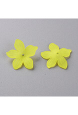 20mm Acrylic Flower x50