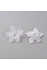 20mm Acrylic Flower x50