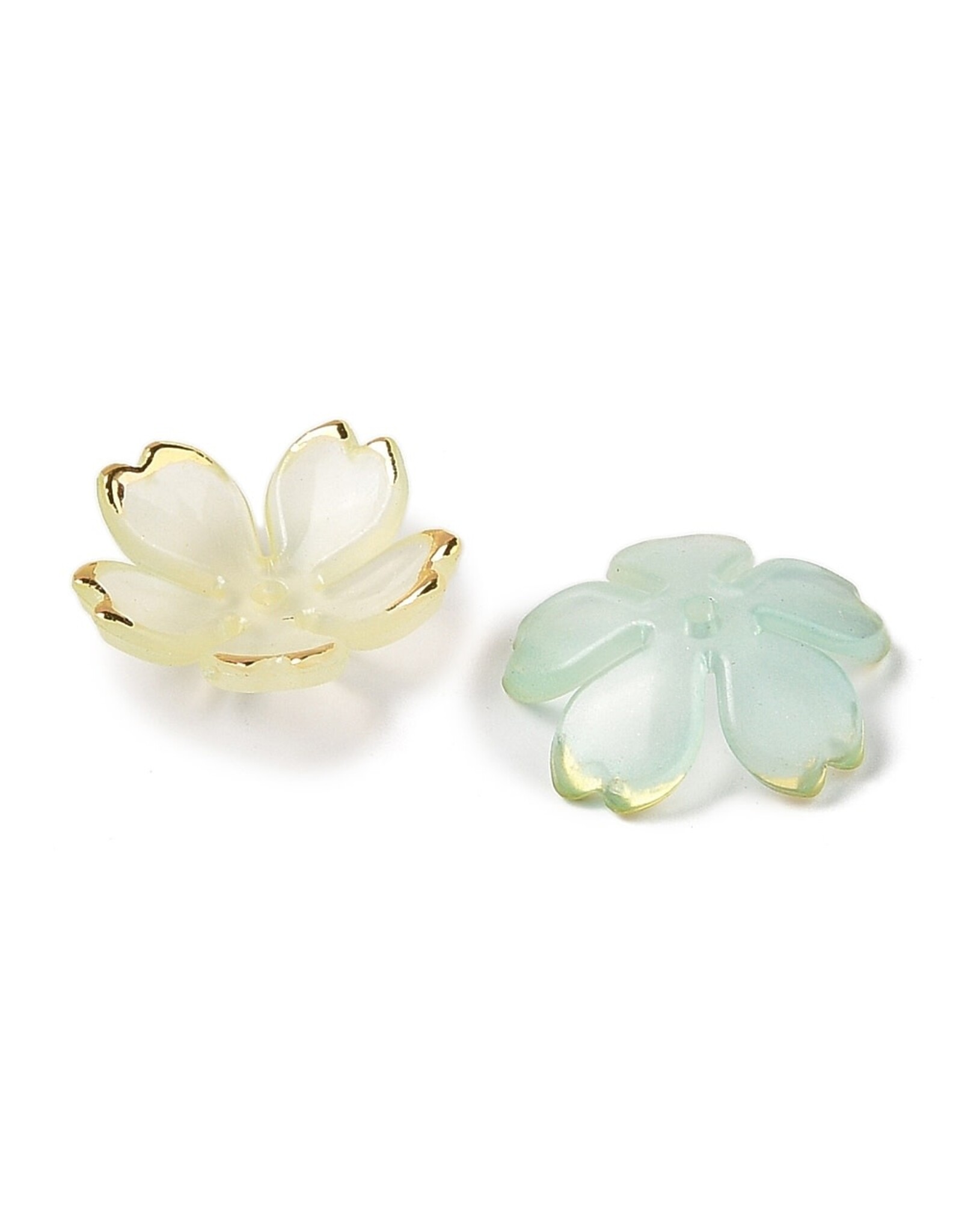 18x5mm Acrylic Flower With Gold   x50