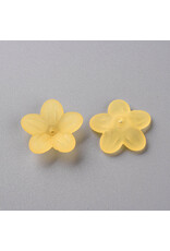 20mm Acrylic Flower x30