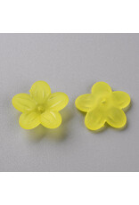 20mm Acrylic Flower x30