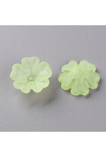 17mm Acrylic Flower x50