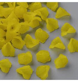 18x17mm Acrylic Flower Cap  x20