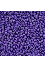 Czech 443203 6 Seed Opaque Purple Terra