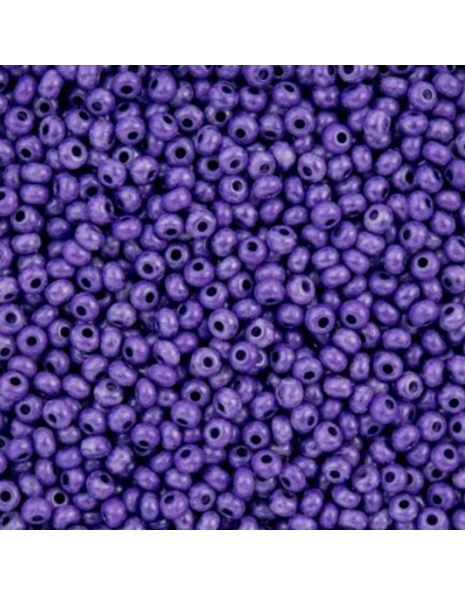 Czech 443203 6 Seed Opaque Purple Terra