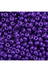 Czech 443228 6 Seed Opaque Purple Terra Intensive
