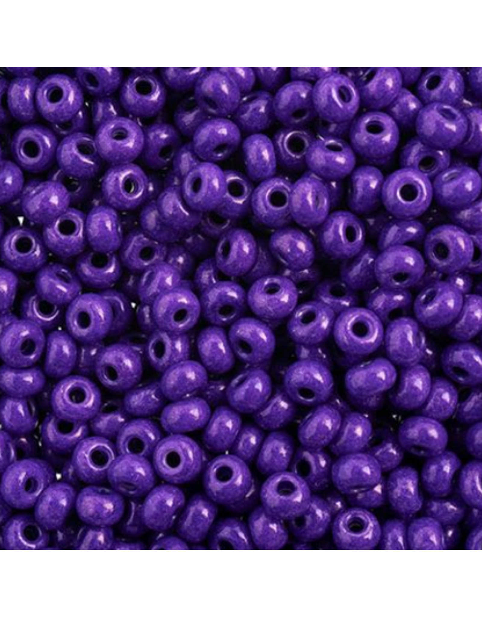 Czech 443228 6 Seed Opaque Purple Terra Intensive