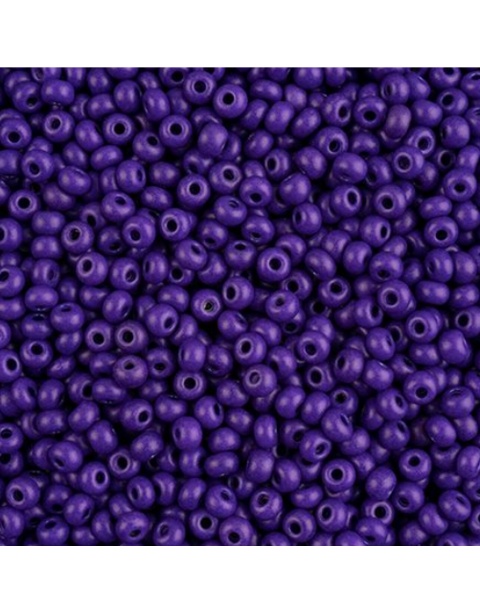 Czech 443239 6 Seed Opaque Purple Matte Terra Intensive