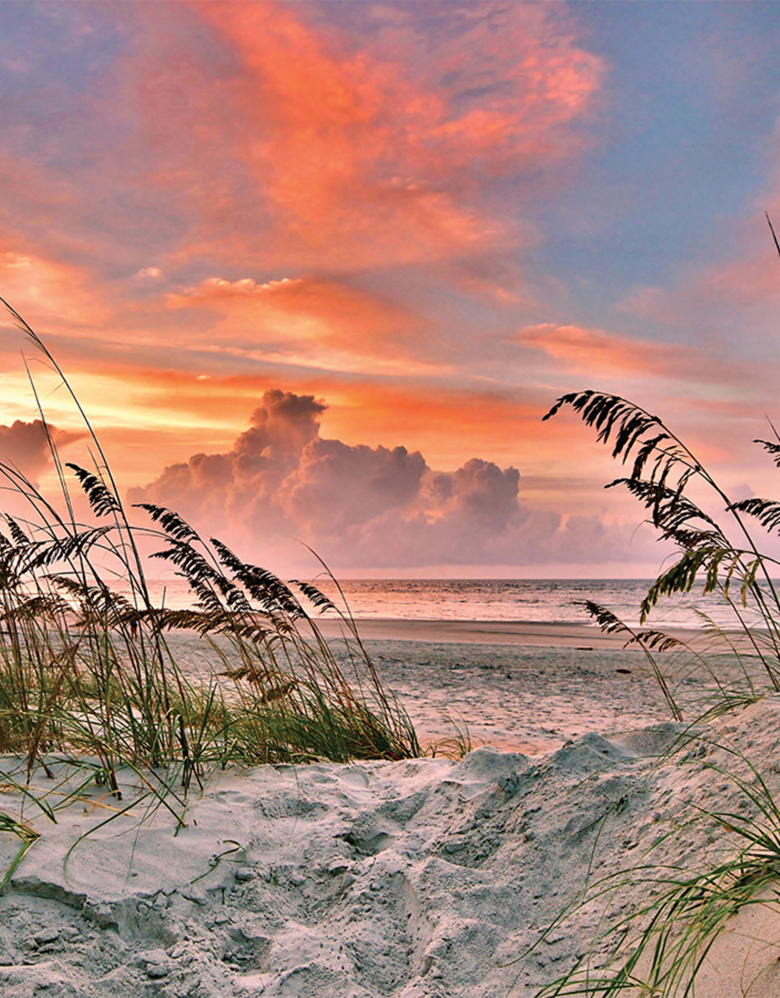 Heritage Puzzles Dancing Sea Oats Puzzle