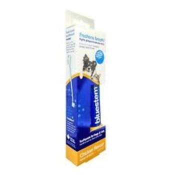 Bluestem Bluestem Oral Care - Chicken Flavor Toothpaste & Toothbrush for Dogs & Cats 70g