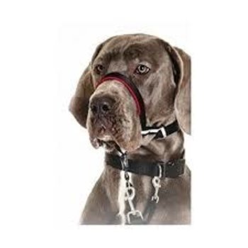 Halti Walking Range Halti Headcollar - Size 5, Black