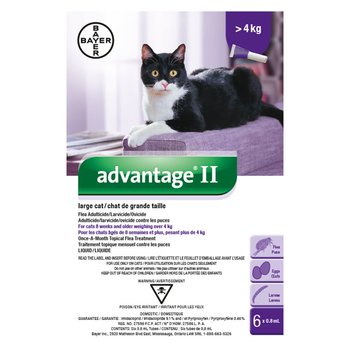 Bayer Advantage II - Large Cats > 4kg (4pk)