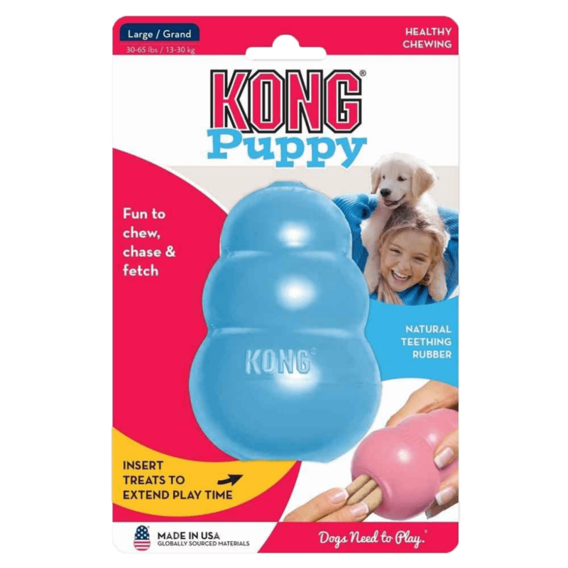 Kong Kong - Puppy Large