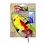 SPOT ETHICAL \ A-Door-Able Plush Bird