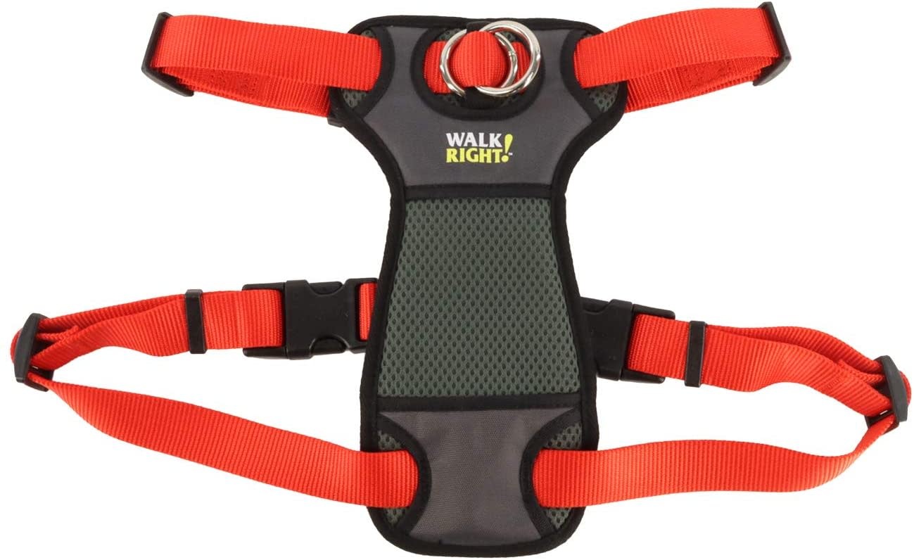 walk right harness