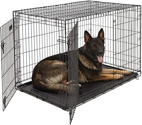 smart dog crate
