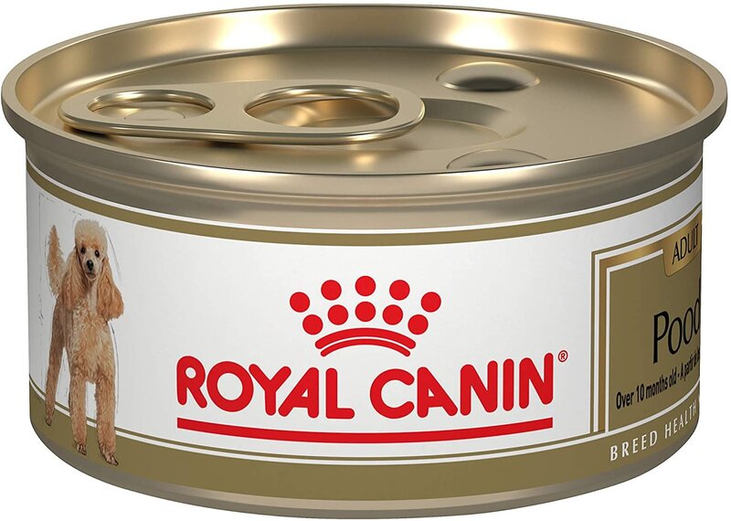 Royal Canin Royal Canin Dog - Poodle 3oz