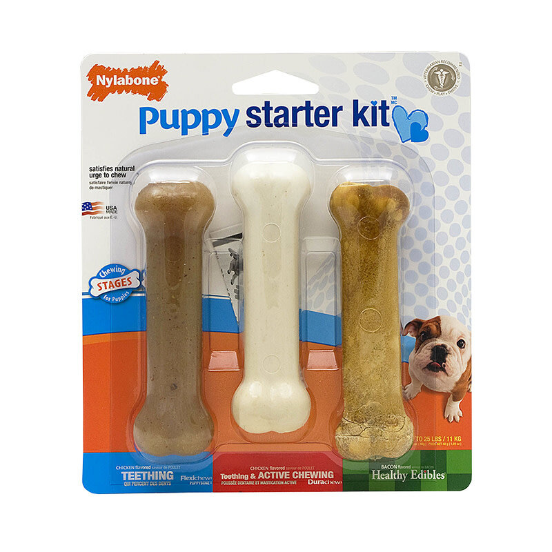 Nylabone NYLABONE® Puppy Starter Kit