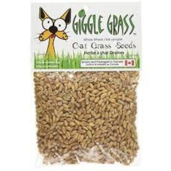 Giggle Grass Giggle Grass Cat Grass Seeds - 125g