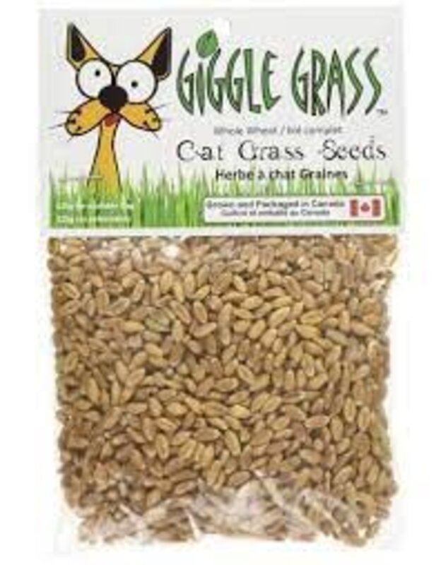 Giggle Grass Giggle Grass Cat Grass Seeds - 125g