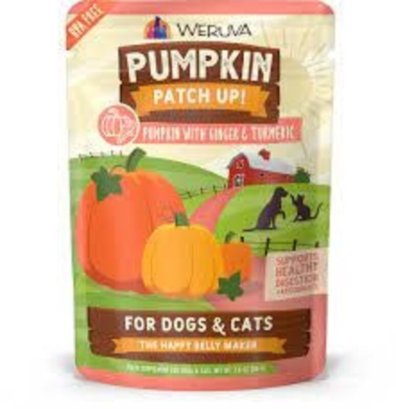 Weruva Weruva - Pumpkin Patch Up Pumpkin w/ Ginger & Turmeric 1.05oz Pouch