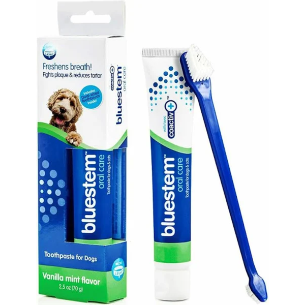 Bluestem Bluestem Oral Care - Vanilla Mint Flavor Toothpaste & Toothbrush for Dogs & Cats 70g
