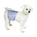 Pooch Pads PoochPants Reusable Diaper Small (Male)