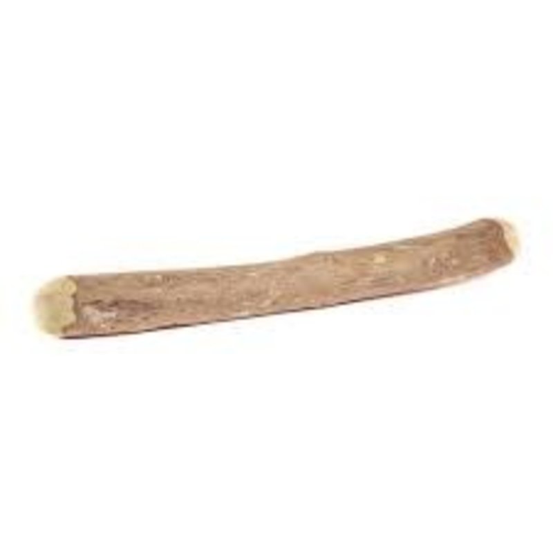 WoodLicious Coffee Wood Dog Chew Stick  - Medium