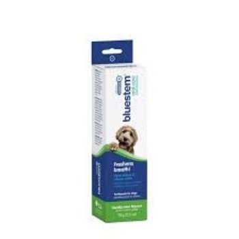 Bluestem Bluestem Vanilla Mint Toothpaste