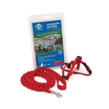 PETSAFE PETSAFE Come with Me Kitty Harness Bungee Leash Red Small Cat