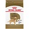 Royal Canin Royal Canin Dog Dry - Adult Golden Retriever 30lbs