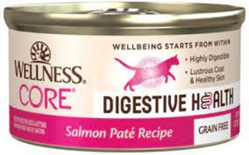 Wellness Wellness Core Digestive Health Grain Free Salmon Pate Recipe For Cats