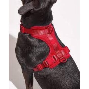 Wild One Wild One Harness Small (Strawberry)