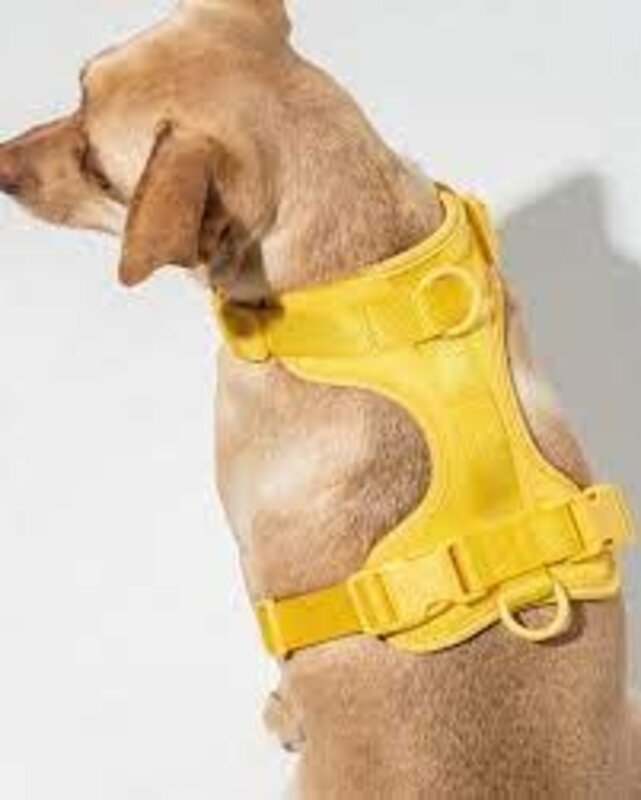 Wild One Wild One Harness Extra Small (Butter)