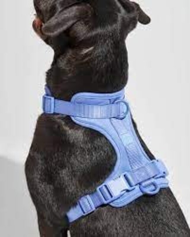 Wild One Wild One Harness Small (Moonstone)