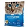 OdourLock Odourlock Cat - Ultra Premium Multi-Cat Unscented Clumping Litter 6kg