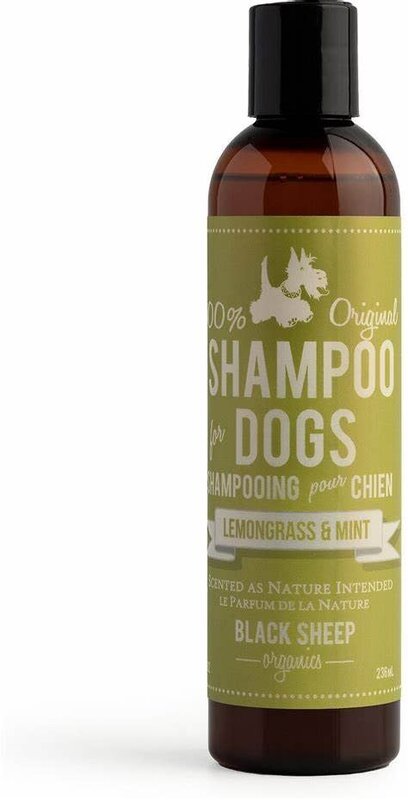 Black Sheep Organics Black Sheep Organics - 100% Original Shampoo for Dogs Lemongrass & Mint 8oz