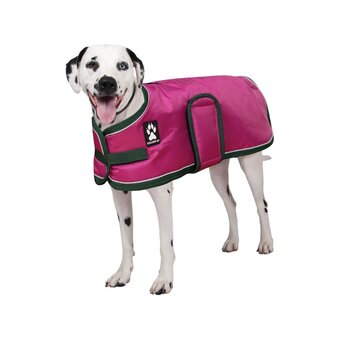 Shedrow K9 Shedrow K9 Vail Dog Coat - Medium - Festival Fuchsia Pink