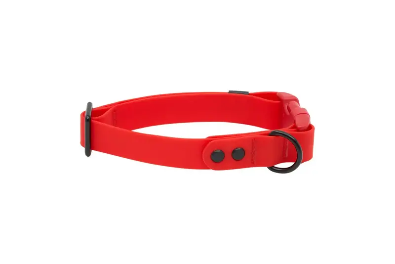 RC Pets RC Pets Waterproof Collar Red - Large