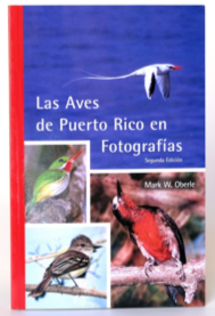 Las Aves de Puerto Rico en Fotografías