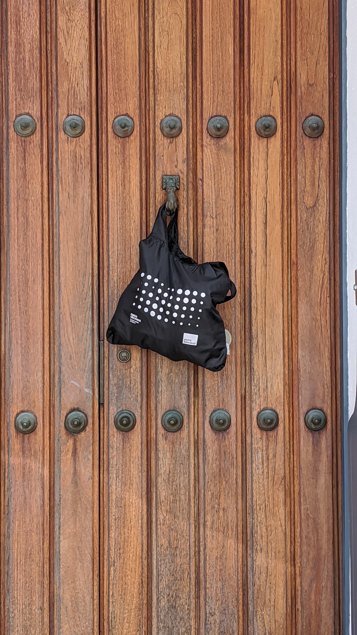 Chicobag Original Cinco Décadas