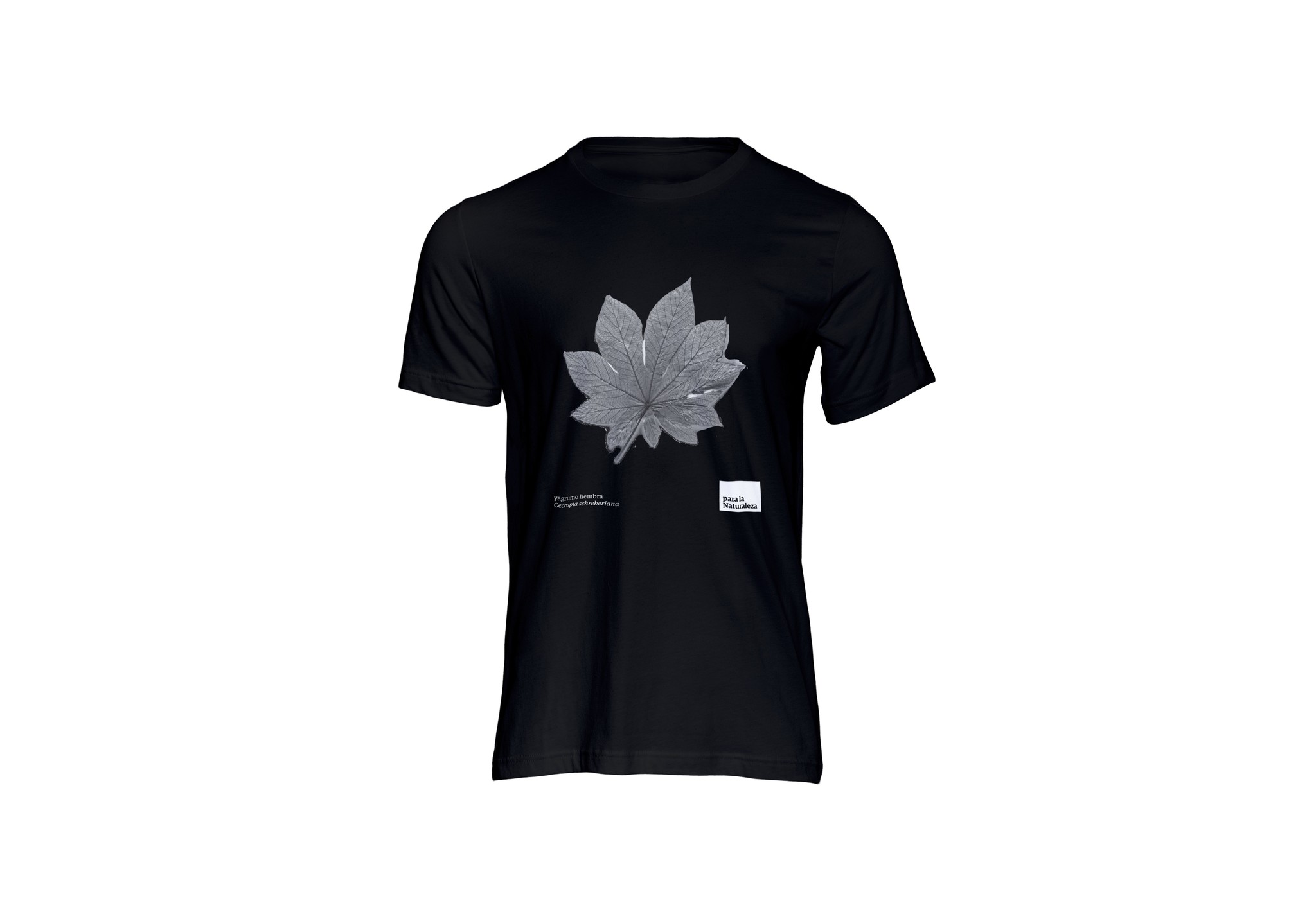 Para la Naturaleza camisa yagrumo hembra - Memorias del bosque