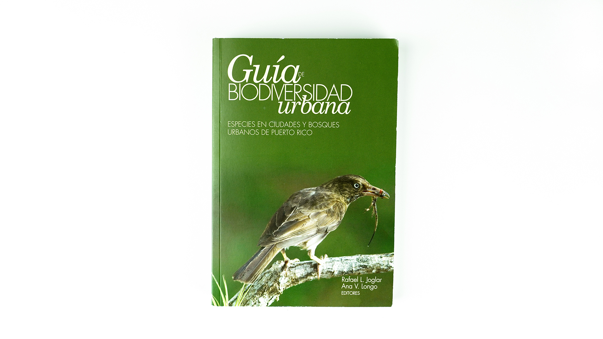 Guía de biodiversidad urbana  - Rafael Joglar