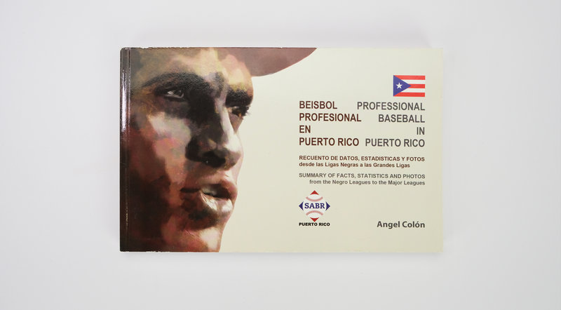 Professional Baseball in Puerto Rico
