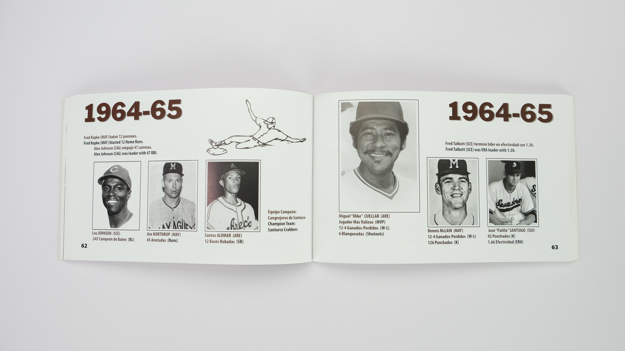 Professional Baseball in Puerto Rico