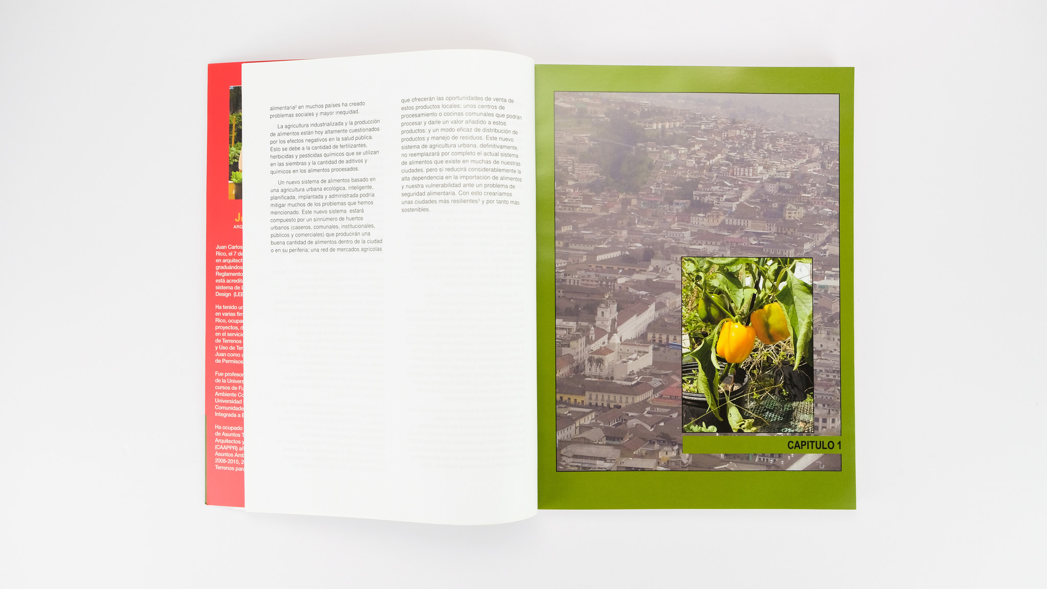 Rehabilitación Agro-Urbana de la Ciudad