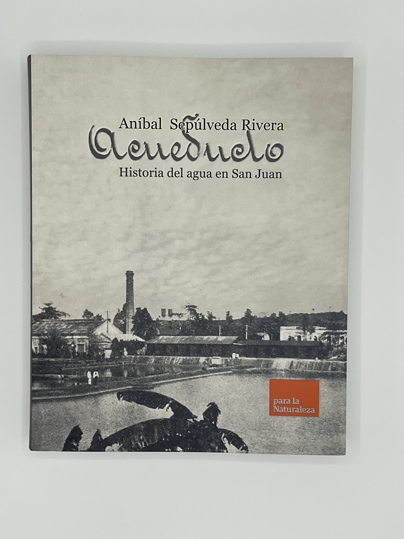 Acueducto: Historia del agua en San Juan (soft cover)